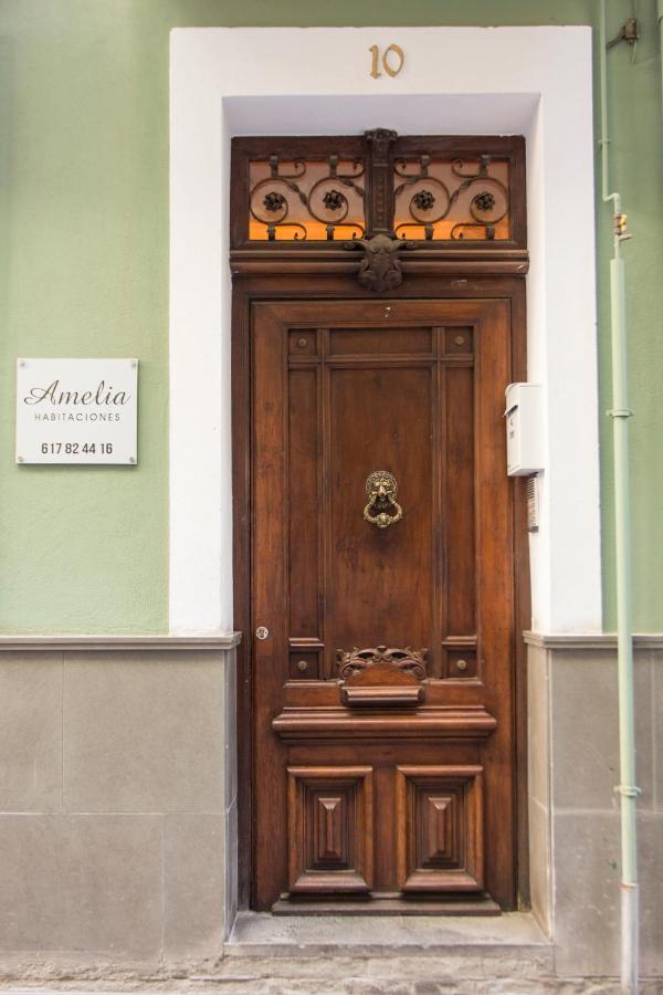 Amelia Casa de hóspedes